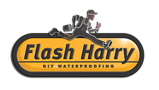 FLASH HARRY
